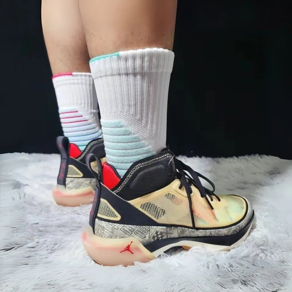 TKH-AJ-0184-7_t.webp